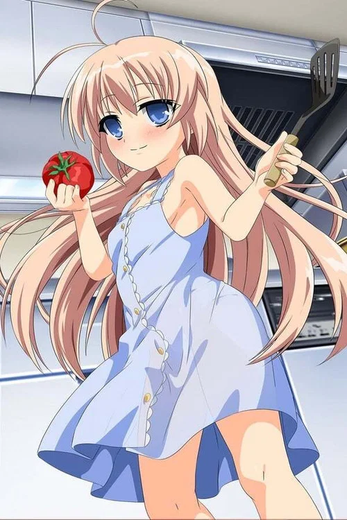 Hajimete no Orusuban cover
